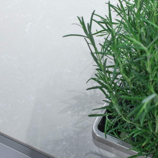 A photo of Quartzforms Breeze Pearl worktops with a green plant