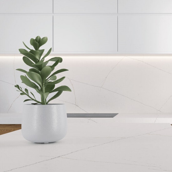 a photo of a kitchen worktop in Quartzforms Planet Honey Galaxy quartz with a plant pot on it