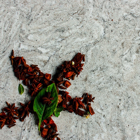 photo of CRL Quartz Montana Gris countertops with a leaf and berries on it