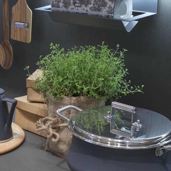a photo of Quartzforms Cloudy Black quartz worktops with a pot, plants and accessories on it
