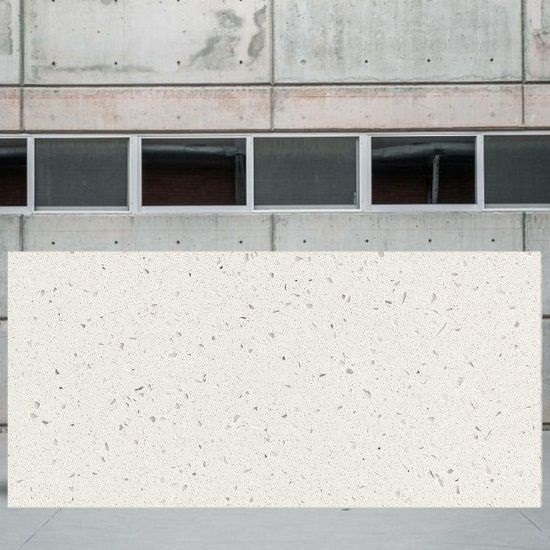 an image of a Compac Moon slab for worktops and a grey cement wall behind