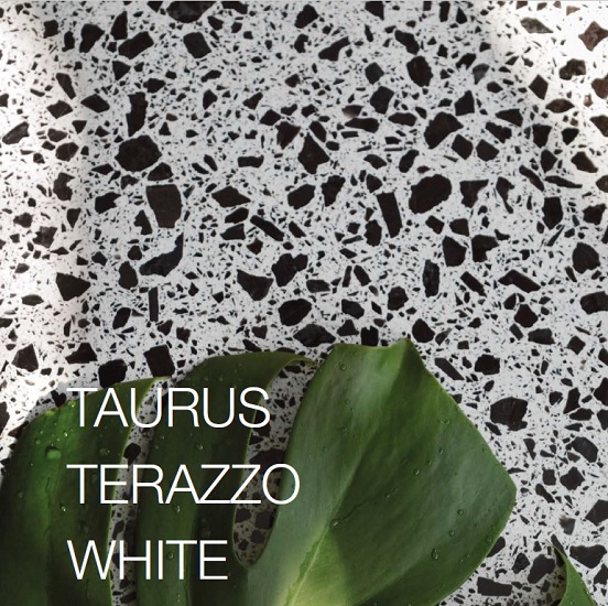 a photo of a Technistone Taurus Terrazzo White quartz sample with a label