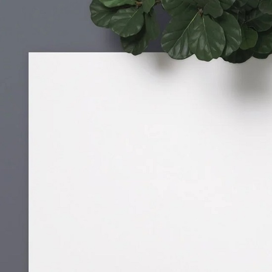 a close-up photo of an Xtone Moon White worktop and a plant