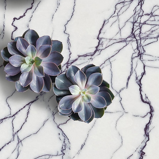 a close-up photo of a Arklam Lilac honed worktop