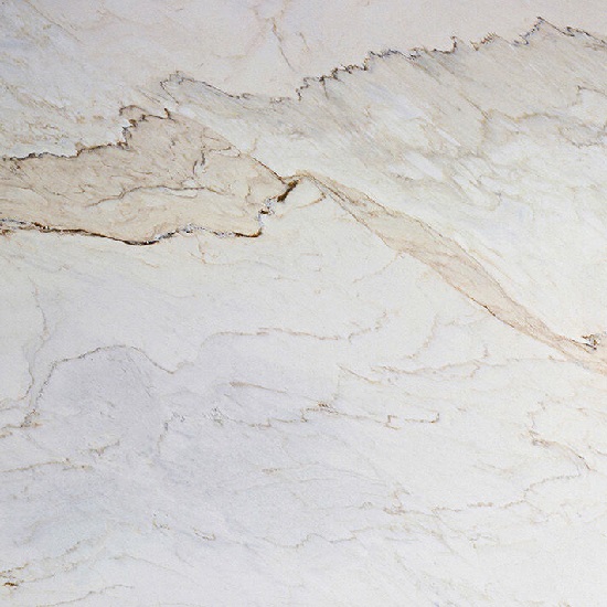 a close-up of Palissandro Marble