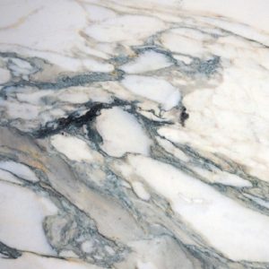 a close-up of Arabescato Oro Verde Marble