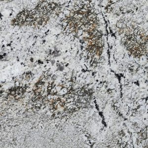 a close-up of Alaska White Granite