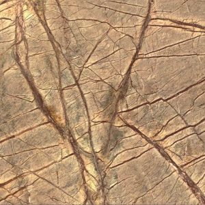 a close-up of Rainforest Brown Marble