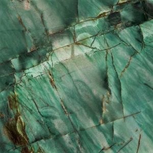 a close-up of Botanic Green Quartzite