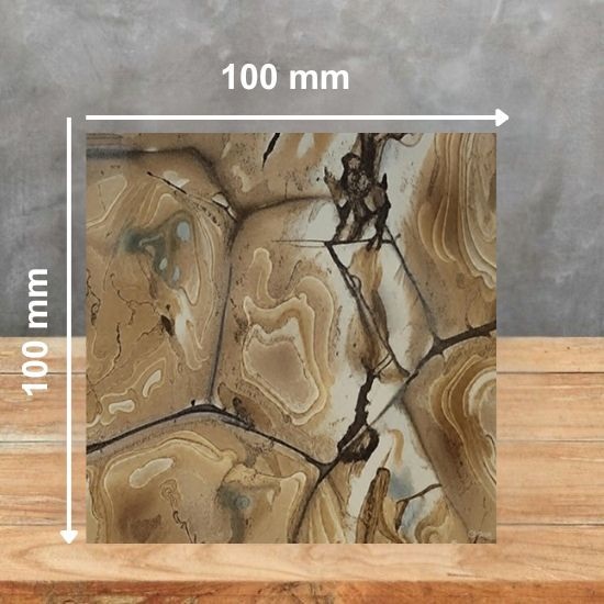 an image of a Palomino Quartzite sample