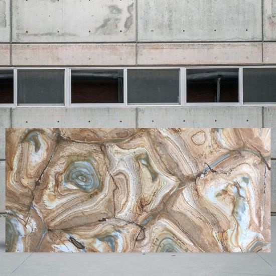 an image of a Palomino Quartzite polished slab