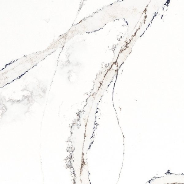 a close-up of Compac Luxury Borghini