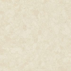 close-up of Terrazzo Mimosa