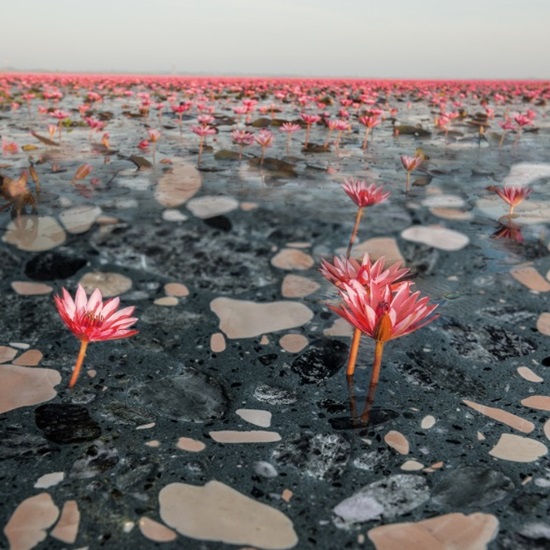 green Terrazzo Palladio Fenice worktop
