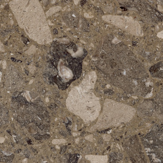 a close-up of Terrazzo Rasotica