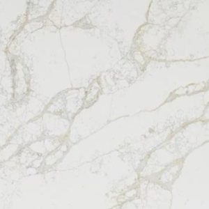 a close-up of Calacatta Tuscan Giant