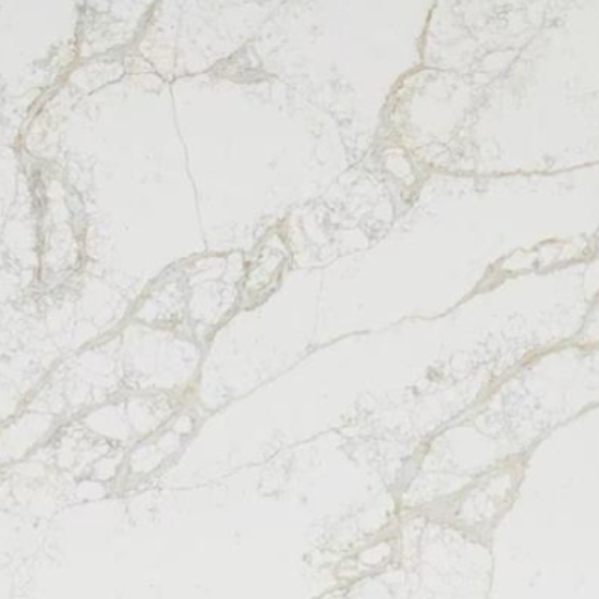 a close-up of Calacatta Tuscan Giant