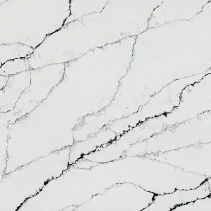 Detailed close-up of Calacatta Black quartz texture, white background with flowing black veins in a marble-effect pattern from the Essex Quartz Collection