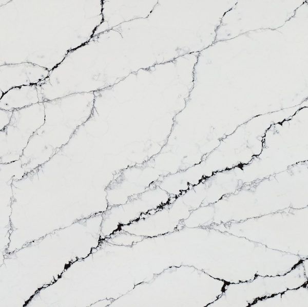 Detailed close-up of Calacatta Black quartz texture, white background with flowing black veins in a marble-effect pattern from the Essex Quartz Collection