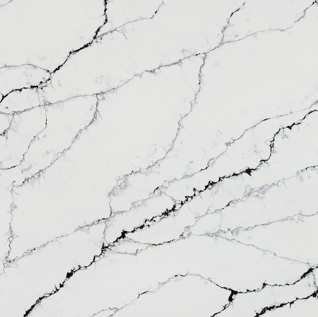 Detailed close-up of Calacatta Black quartz texture, white background with flowing black veins in a marble-effect pattern from the Essex Quartz Collection